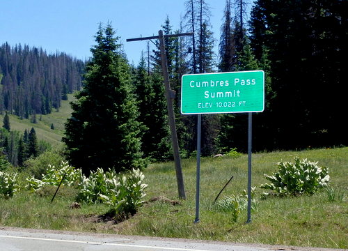 GDMBR: Cumbres Pass (10022'/3055m), Colorado.